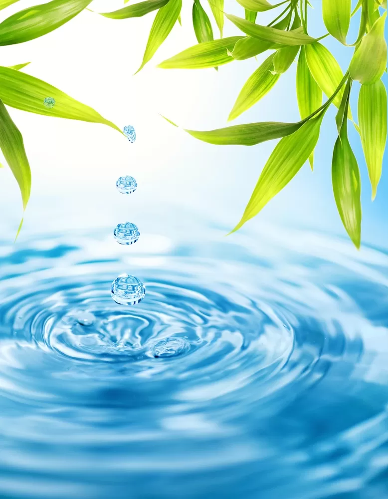 Curso de Iniciação ao Reiki - Despertar o Curador Interno (S.D.Rana, 2 Maio)